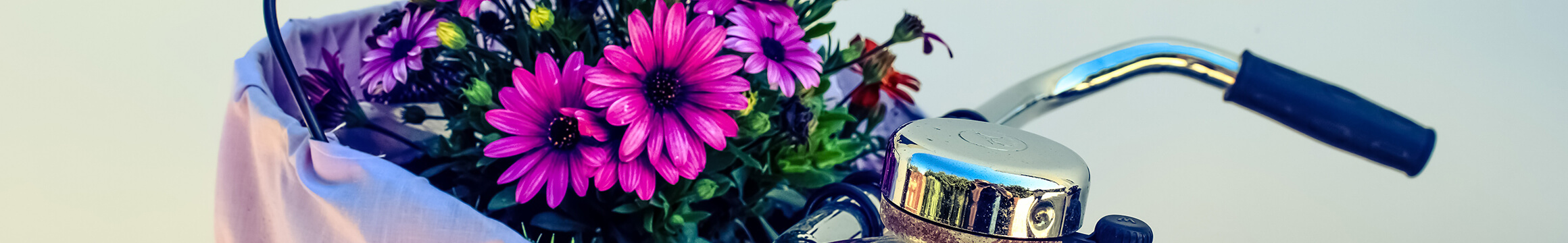 Floral 01