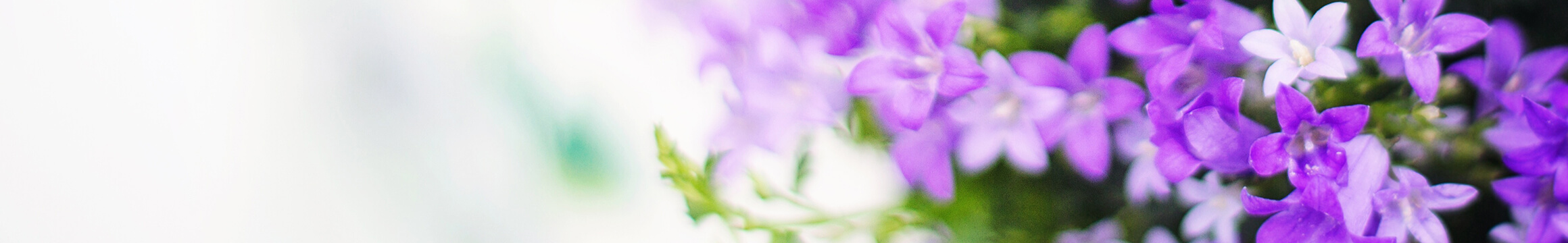 Floral 22