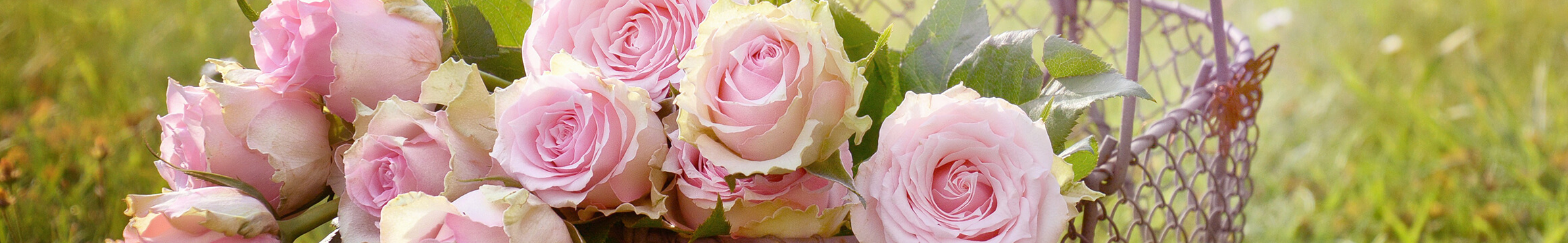 Floral 24