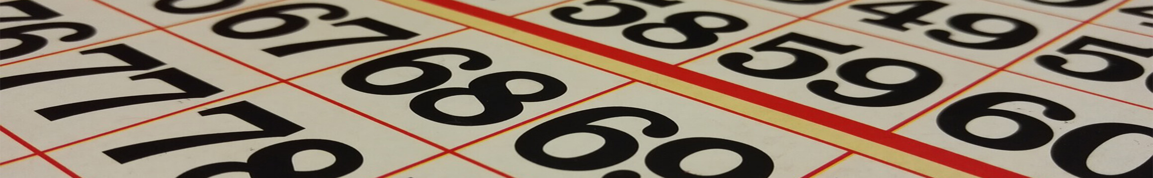 Bingo01
