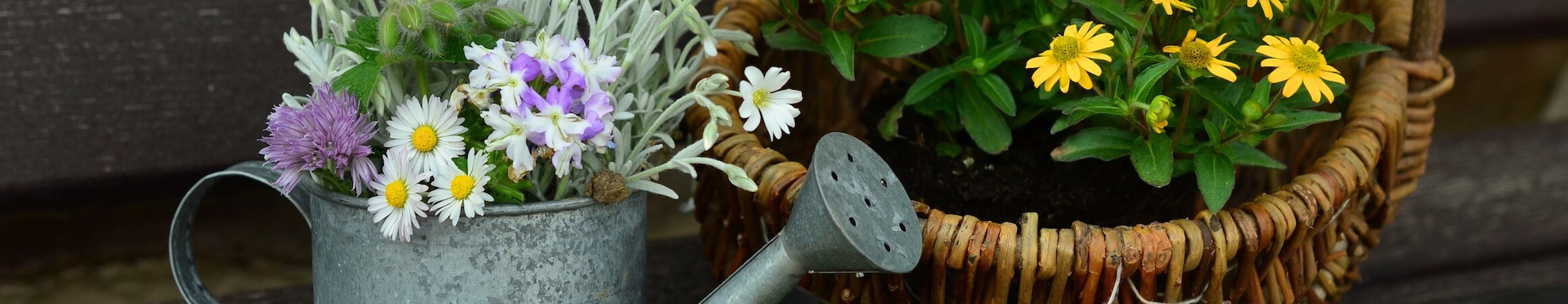 Gardening 06