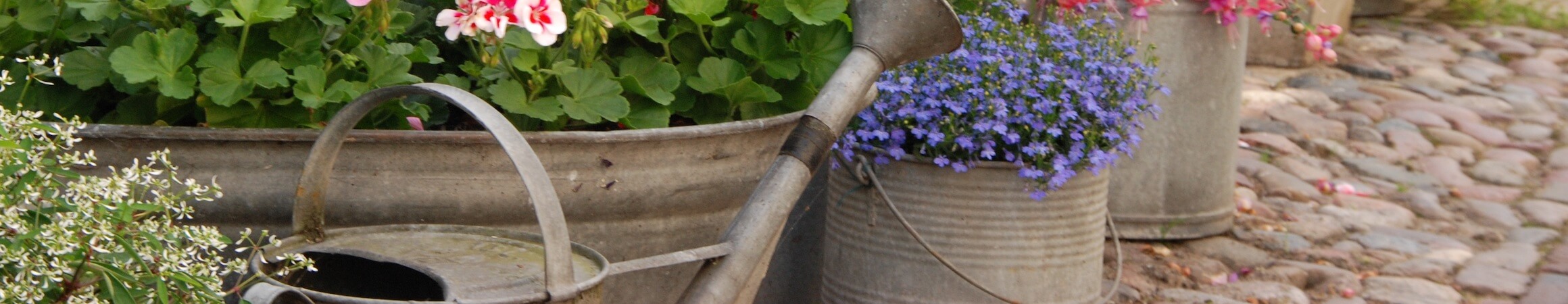 Gardening 07