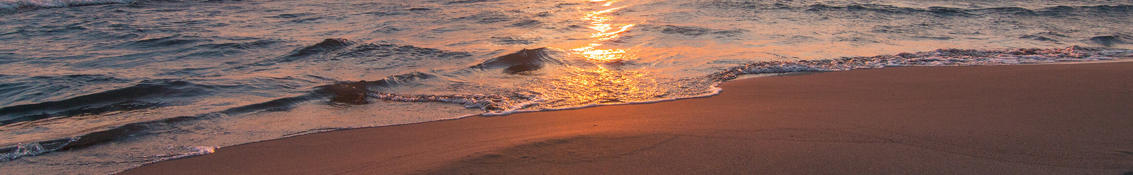 Ocean Beach 07